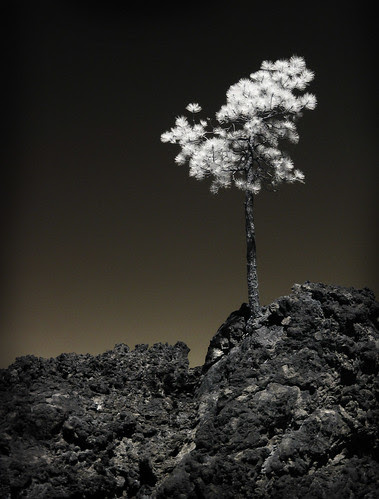 Reclamation