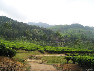 Road to Irachal Parai Falls