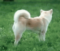 typographme:

asilookatthemoon:






The Quick Brown Fox Jumps Over the Lazy Dog.
I feel like I’ve been preparing for this image all my life.



The internet is over, everyone can go home

It’s just as beautiful as I always imagined.


My life is complete.

For my little typography junkies. :)
