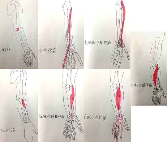 テニス肘 肘の腱鞘炎 の施術