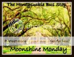 The Honeysuckle Bus Stop