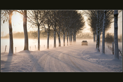 Driving home for Christmas