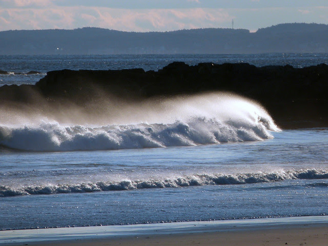 The sea does not like to be restrained