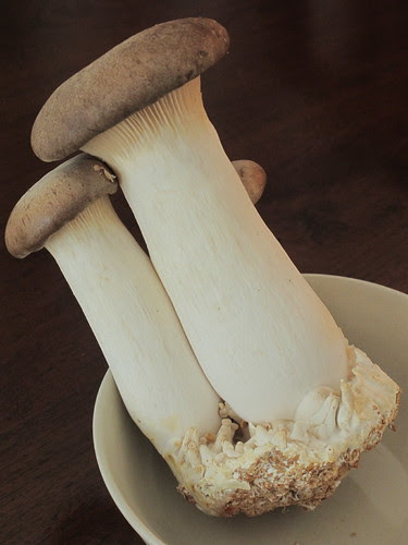 Stir- fried Eryngii mushroom