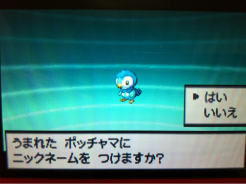 色違いいつ出るんだよ 色ポッチャマ