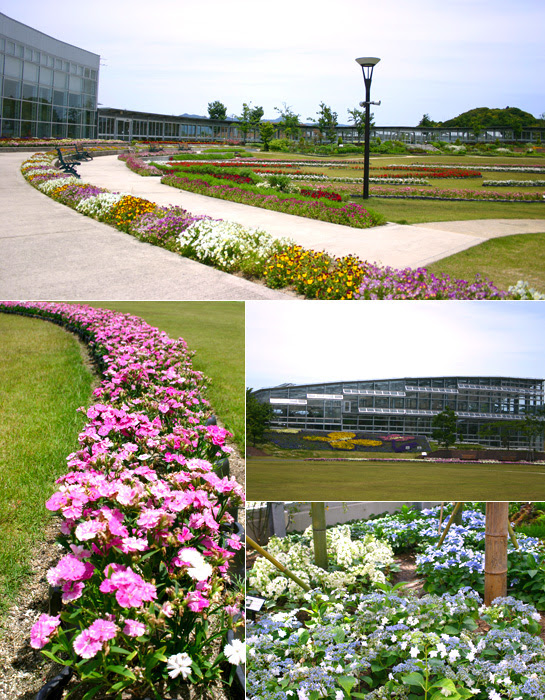 しまね花の郷 フラワーパーク 寄せ植え体験 花壇づくり体験