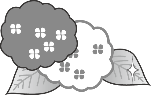 印刷可能 あじさい イラスト 白黒