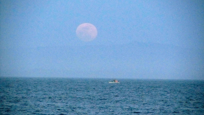 IMG_5049