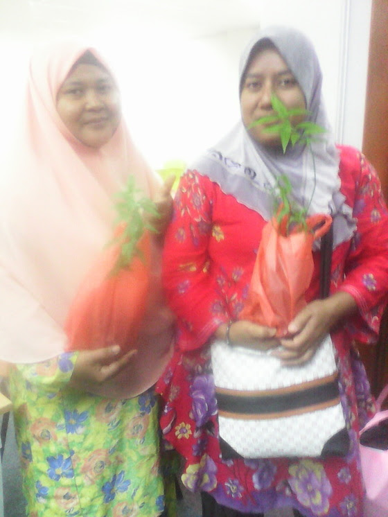 Testimoni - Daun Belalai Gajah