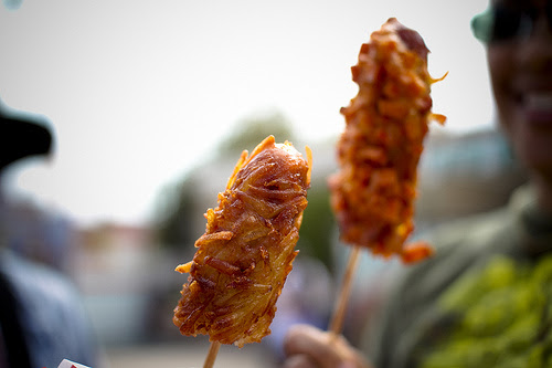 hash brown dog