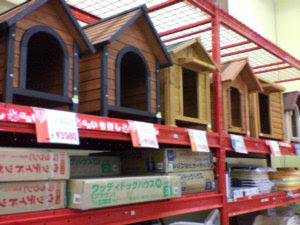 ペッツワン Pet S One 店舗紹介 店舗一覧 カインズホームに隣接したペットフード ペット用品の専門店