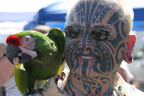 A Tattooed man walks around town with a parrot perched on his shoulder, 
