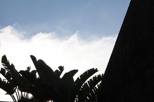 Spring Sky