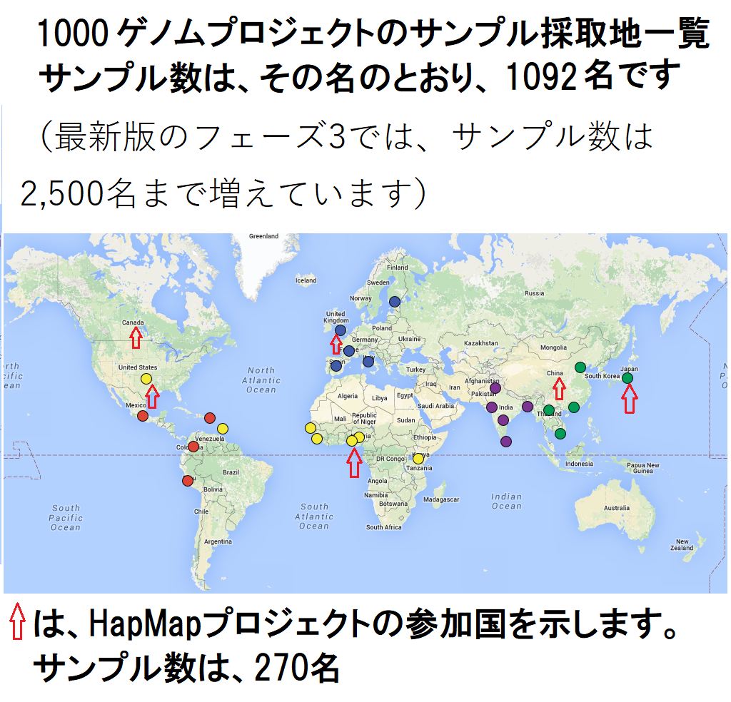 朝鮮人男性y染色体の一塩基変異の異様性