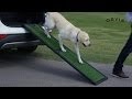 Dog Ramp For Car