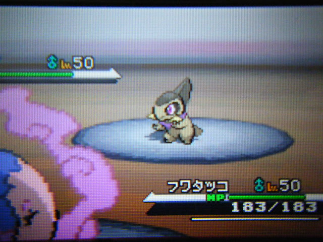 色違いキバゴ オレサマなミラクルな 楽天ブログ