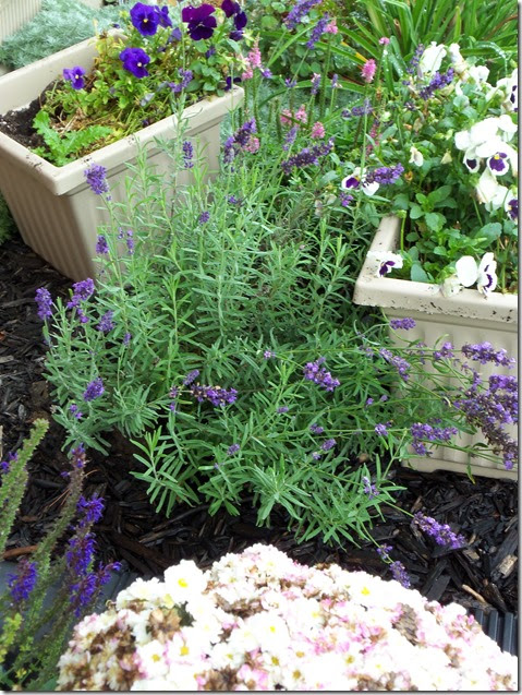 10-02-2016 GW22 (43)