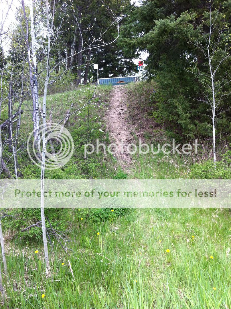  photo 8441719F-54A6-4F57-A609-871292C7F7A4.jpg