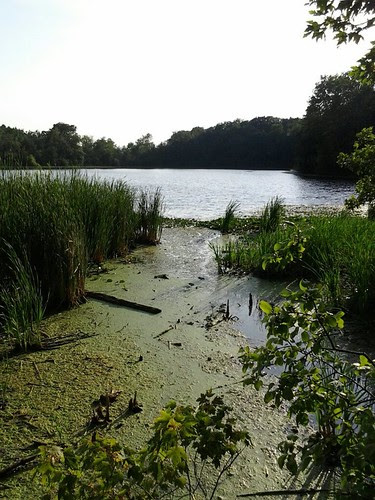Low water level on TSL