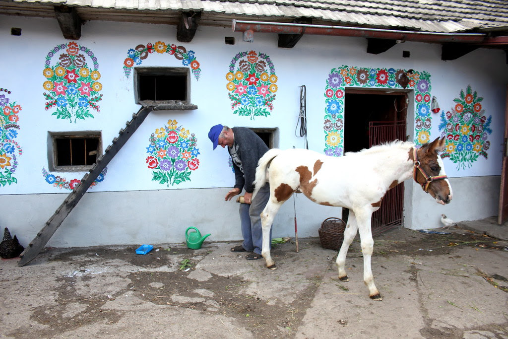 Farmer, Foal and Flowers, Zalipie, Poland