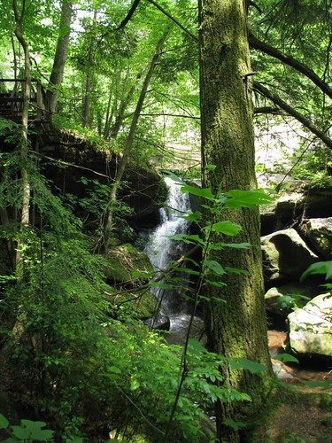 Dismal's Canyon, Alabama