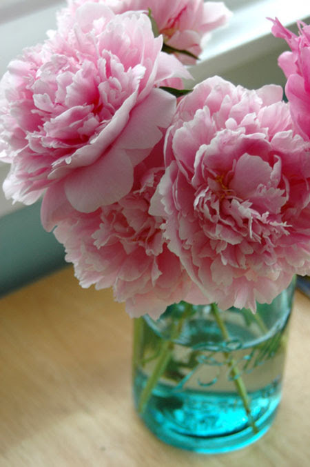 2007-06-02peonies