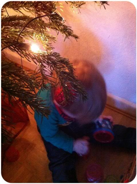 Weihnachtsbaum-Zwuggel