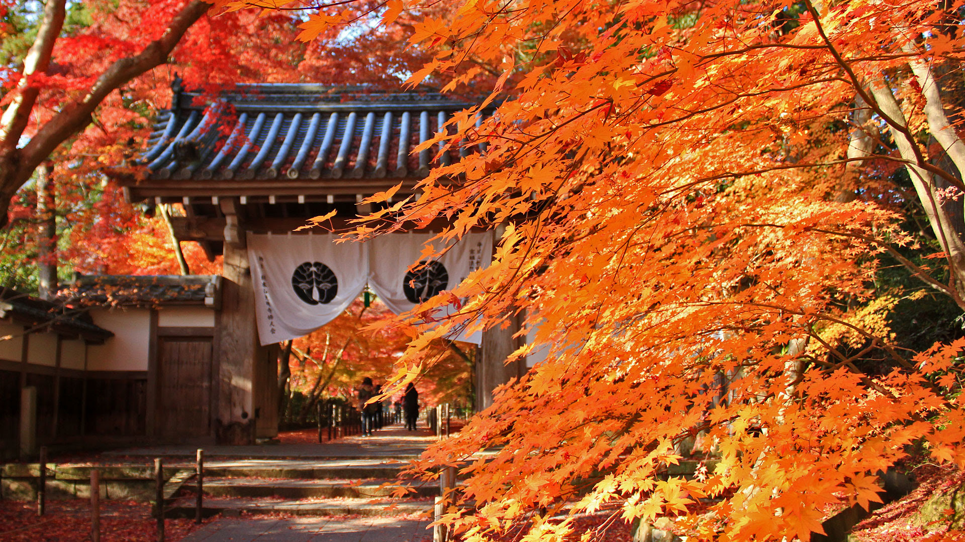 光明寺 紅葉 京都 長岡京市 壁紙 写真 フリー