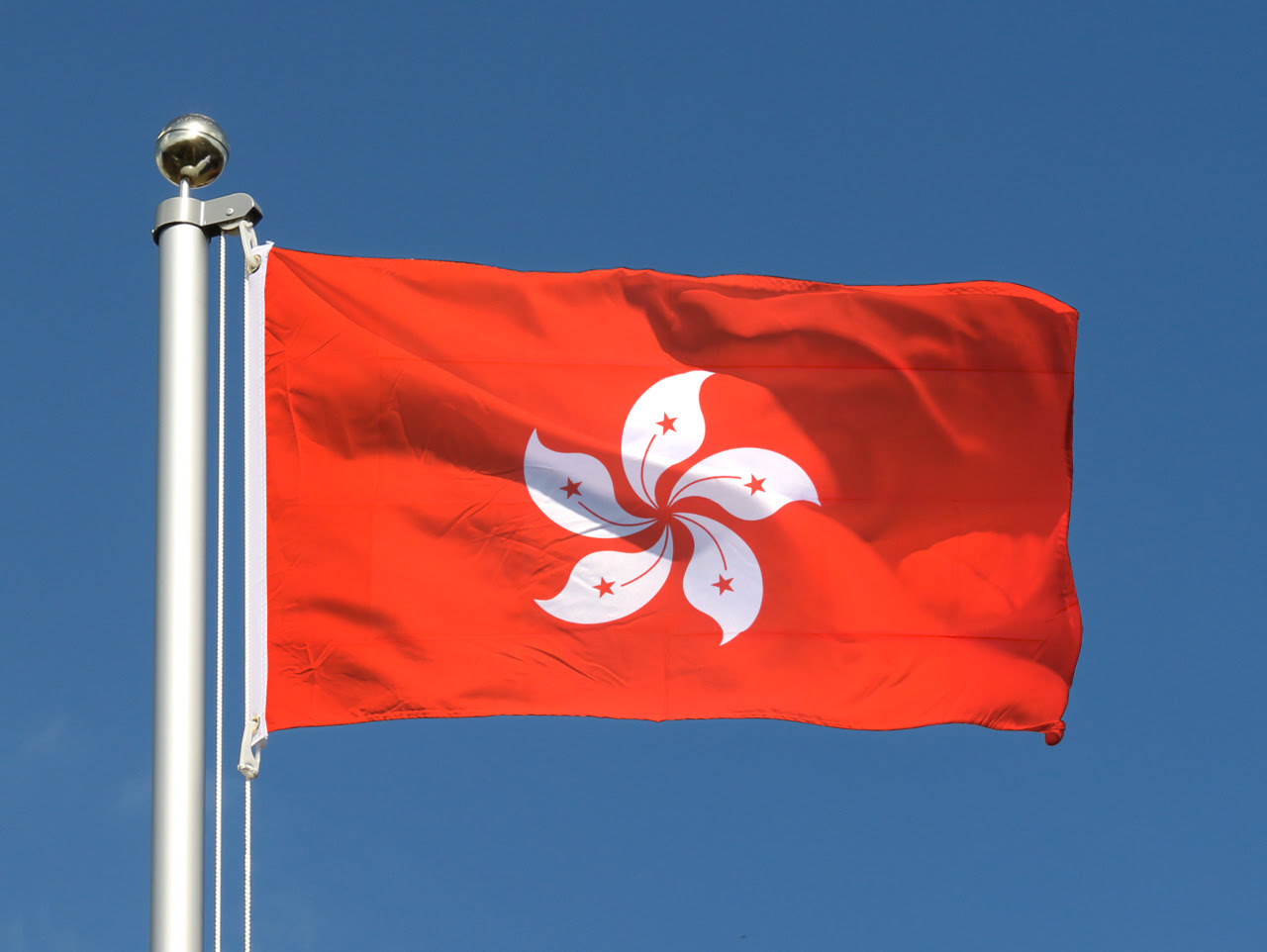 Günstige Hong Kong Flagge | MaxFlags® bei FlaggenPlatz.at