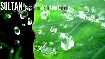 Lagu Ibarat Air Di Daun Keladi