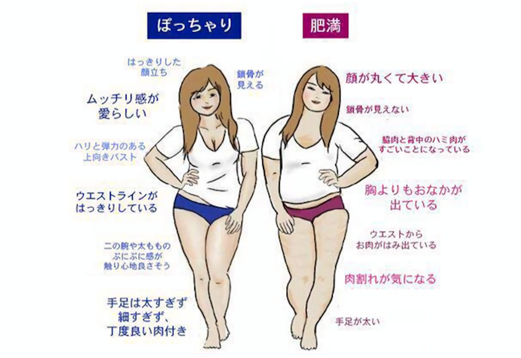 デブとぽっちゃりは分かったけど 普通体型はぽっちゃりなのか だいだらぼっち