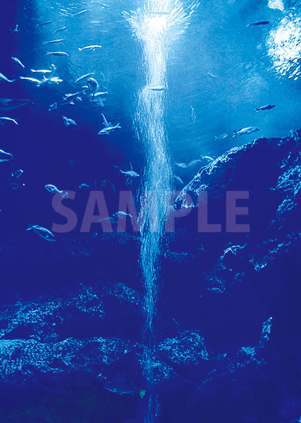 水槽内を泳ぐ魚のa4サイズ背景素材 無料 商用可能 サイズ 背景テンプレートダウンロードサイト