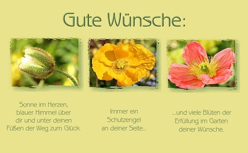 wünsche dir alles liebe und gute