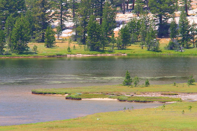 IMG_8927 Emeric Lake, Vogelsang to Merced Lake via Fletcher Creek