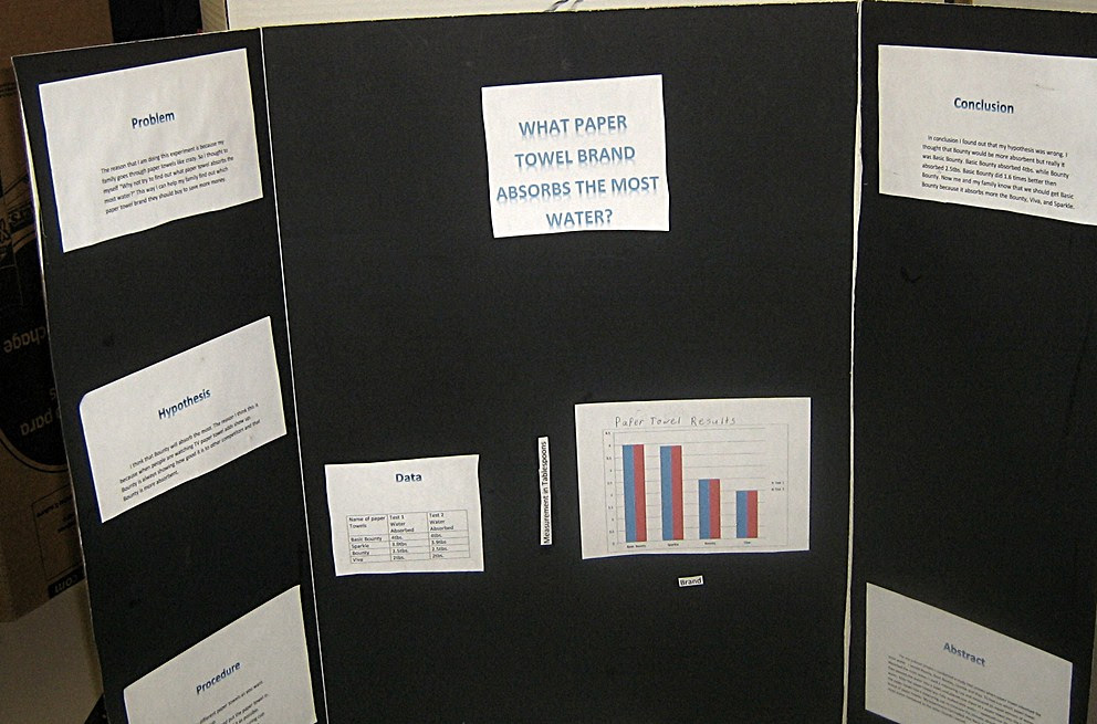 crestsciencefair / What Paper Towel Brand Absorbs The Most Water
