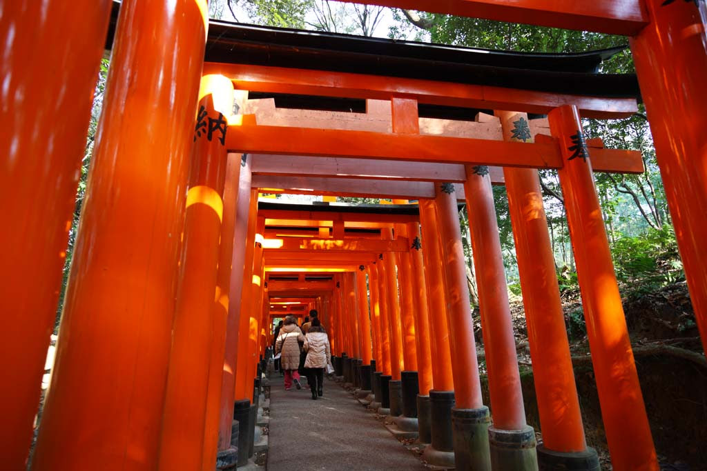 ゆんフリー写真素材集 No 8732 伏見稲荷大社 鳥居 日本 京都