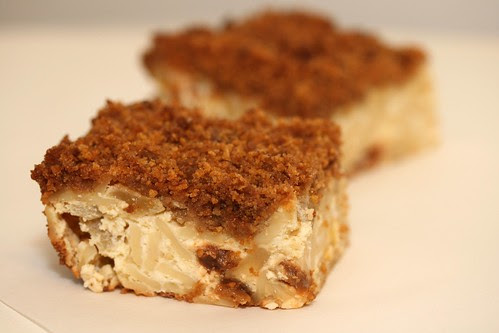 Apple Raisin Noodle Kugel