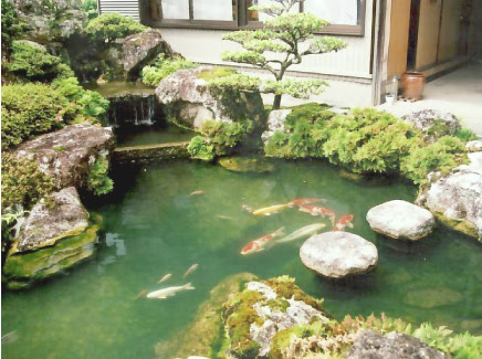 施工例 池のある本格的な日本庭園