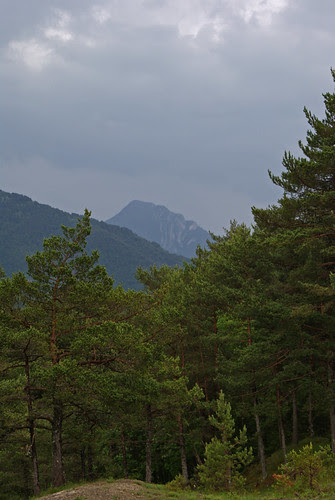 DSC07600