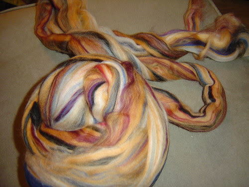 Sandstone roving1.JPG