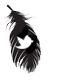  photo twitter-30.png