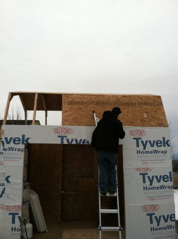 James: Shed building cost estimator tool