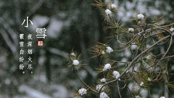 小雪节气 对酒独酌 一首冬日之诗 感受白居易对朋友的思念 娱乐资讯 存满娱乐网