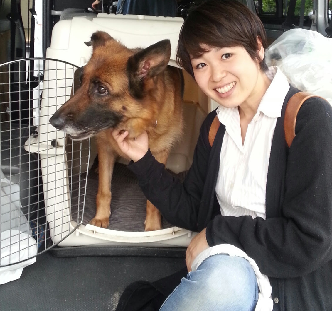 本日も終了 地雷探知犬ニーナ Neena