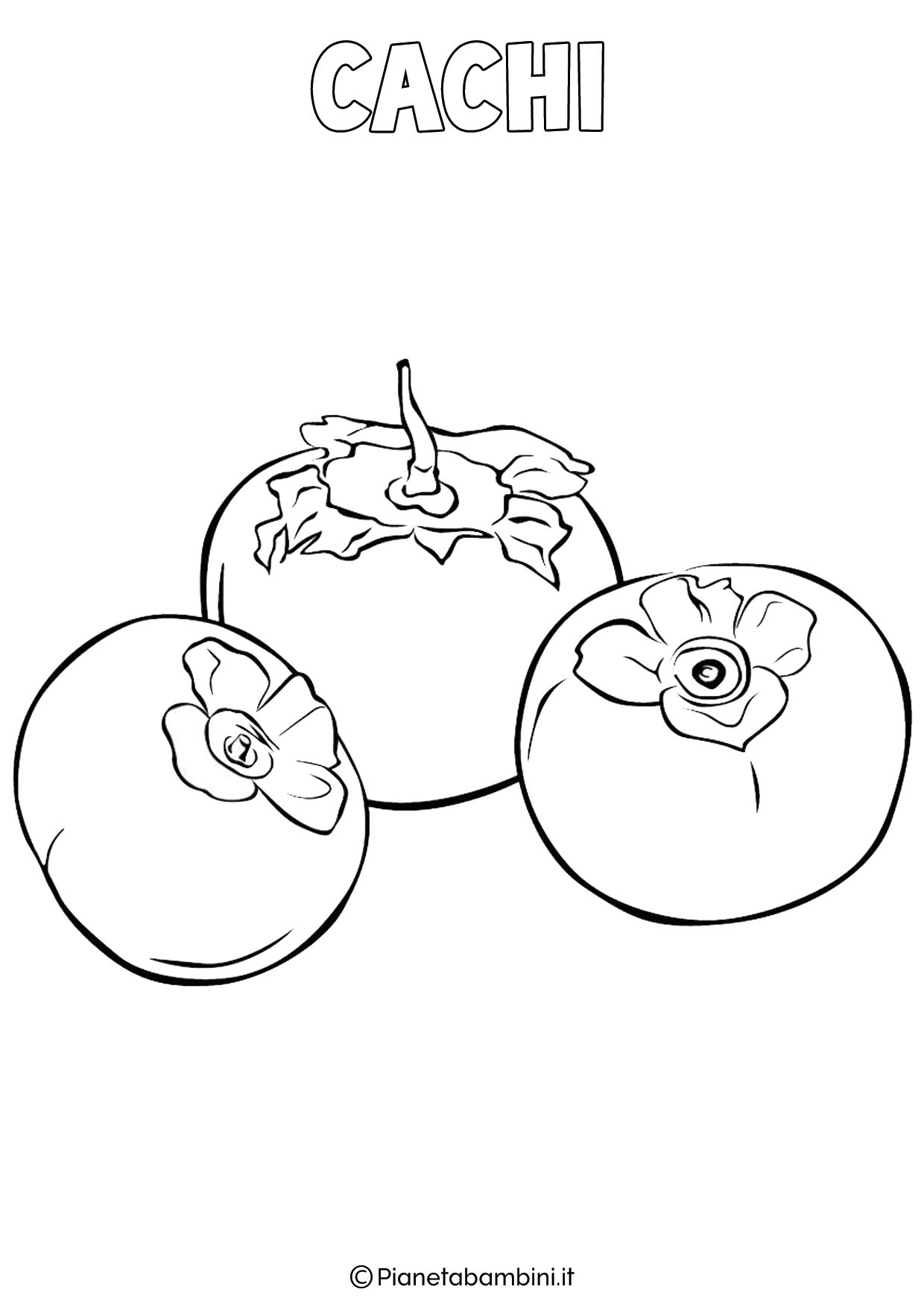 Disegno di cachi da colorare