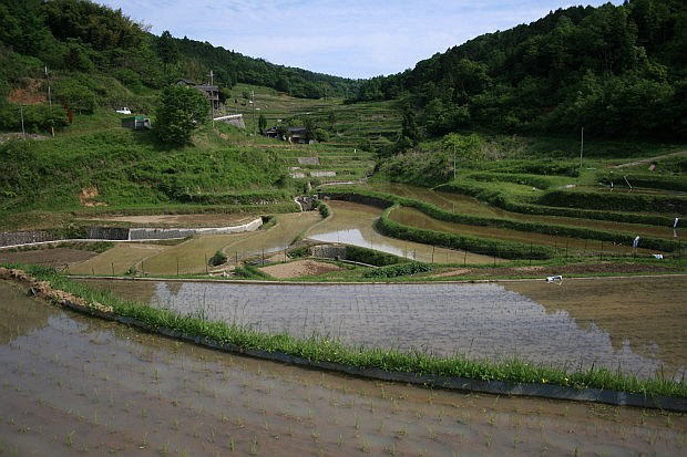 乙大木谷の棚田 岩座神の棚田 うへ山の棚田