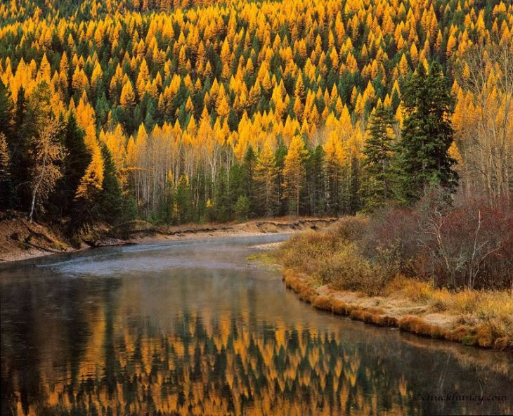 colorful-fall-photos-autumn-mcdonald-creek