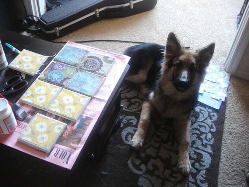 ceramic tile coasters drying