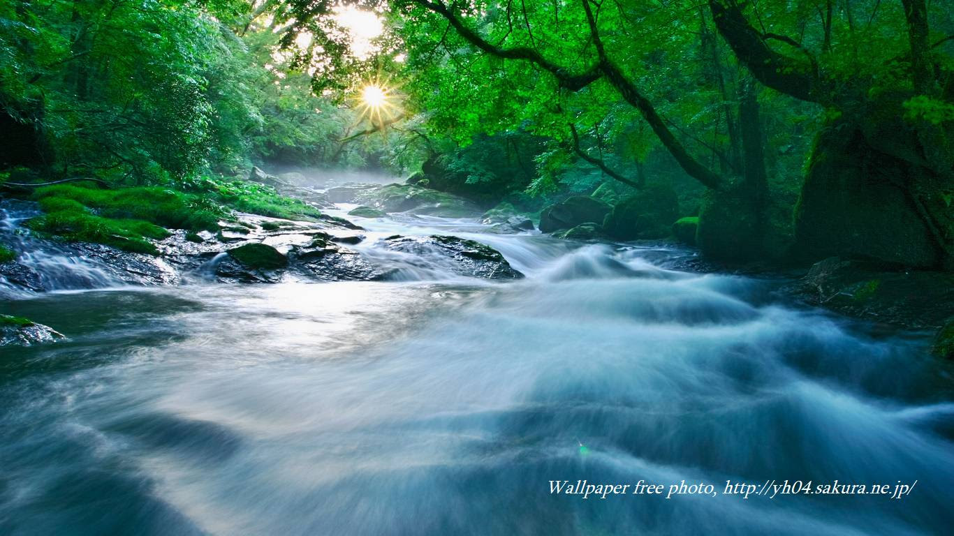 菊池渓谷の朝 高画質 1366 768 デスクトップ無料壁紙