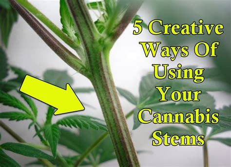 And in short, gravity is. 5 Creative Ways Of Using Your Cannabis Stems